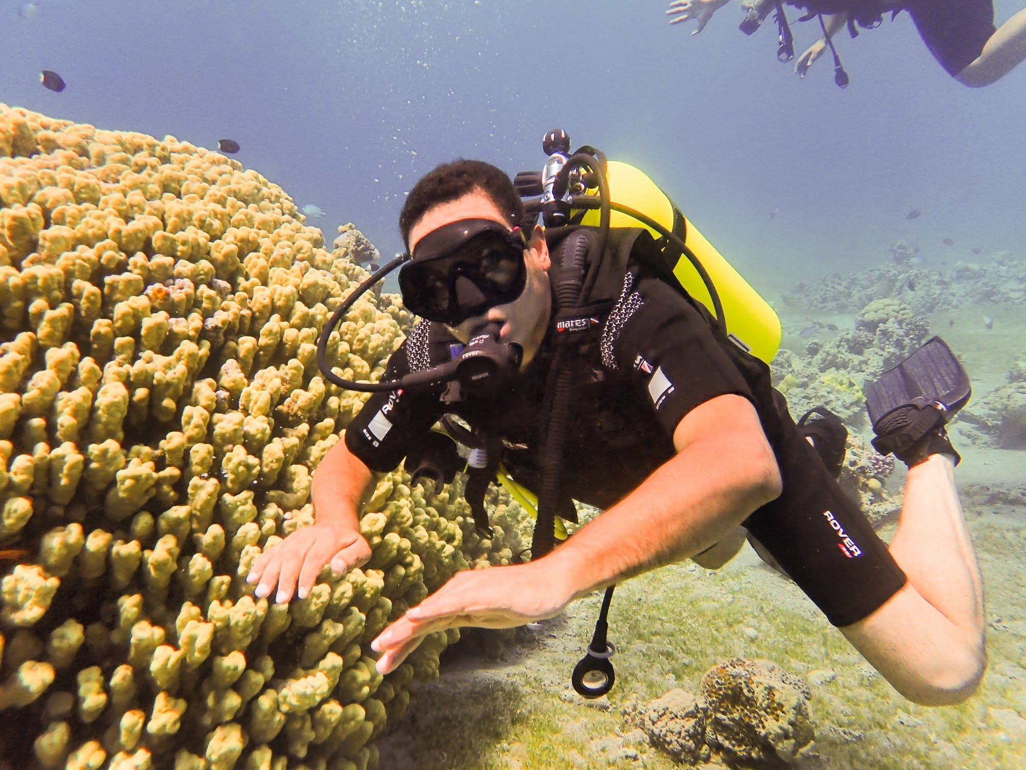 padi dive aqaba