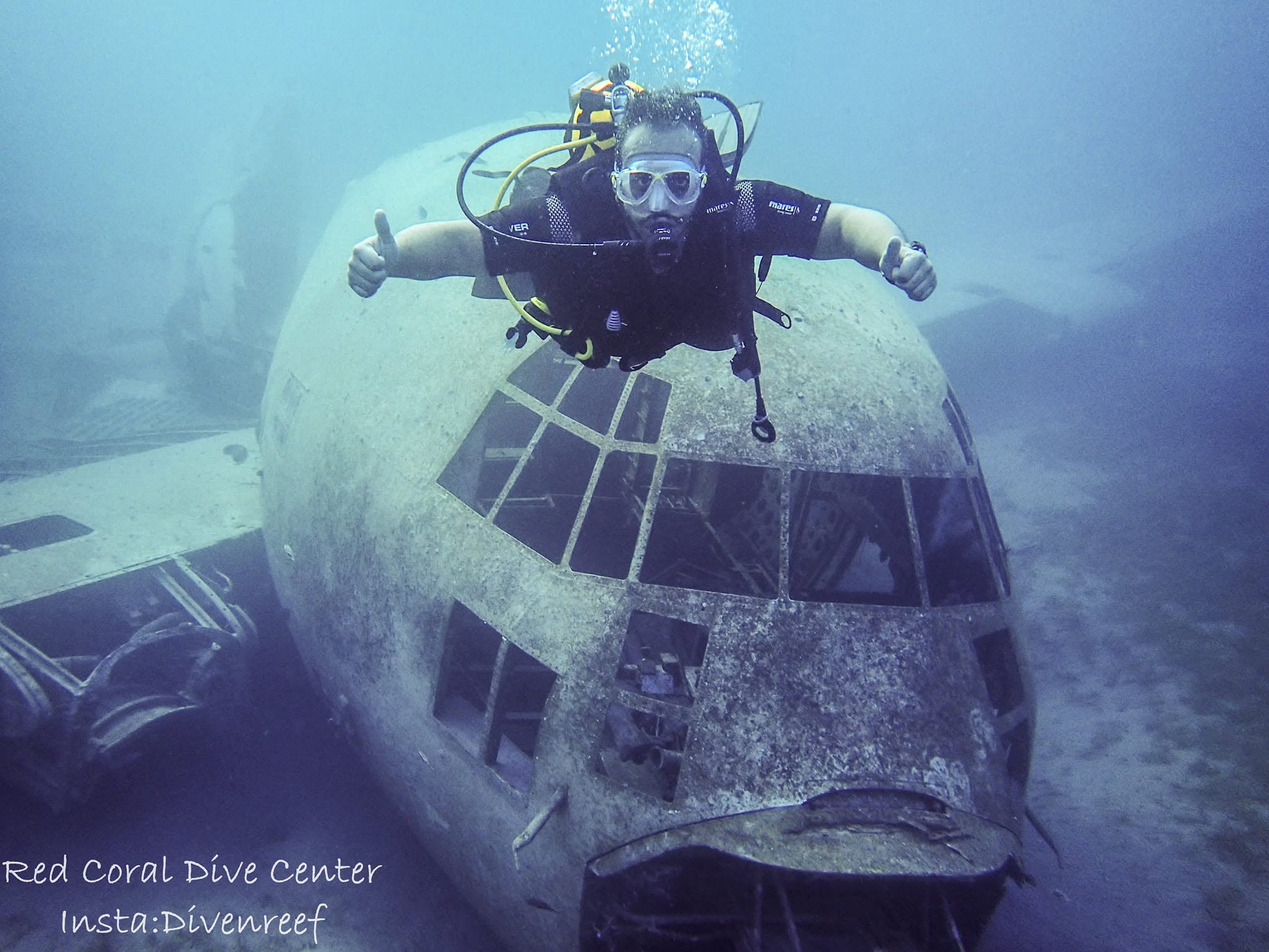 Red Sea Diving