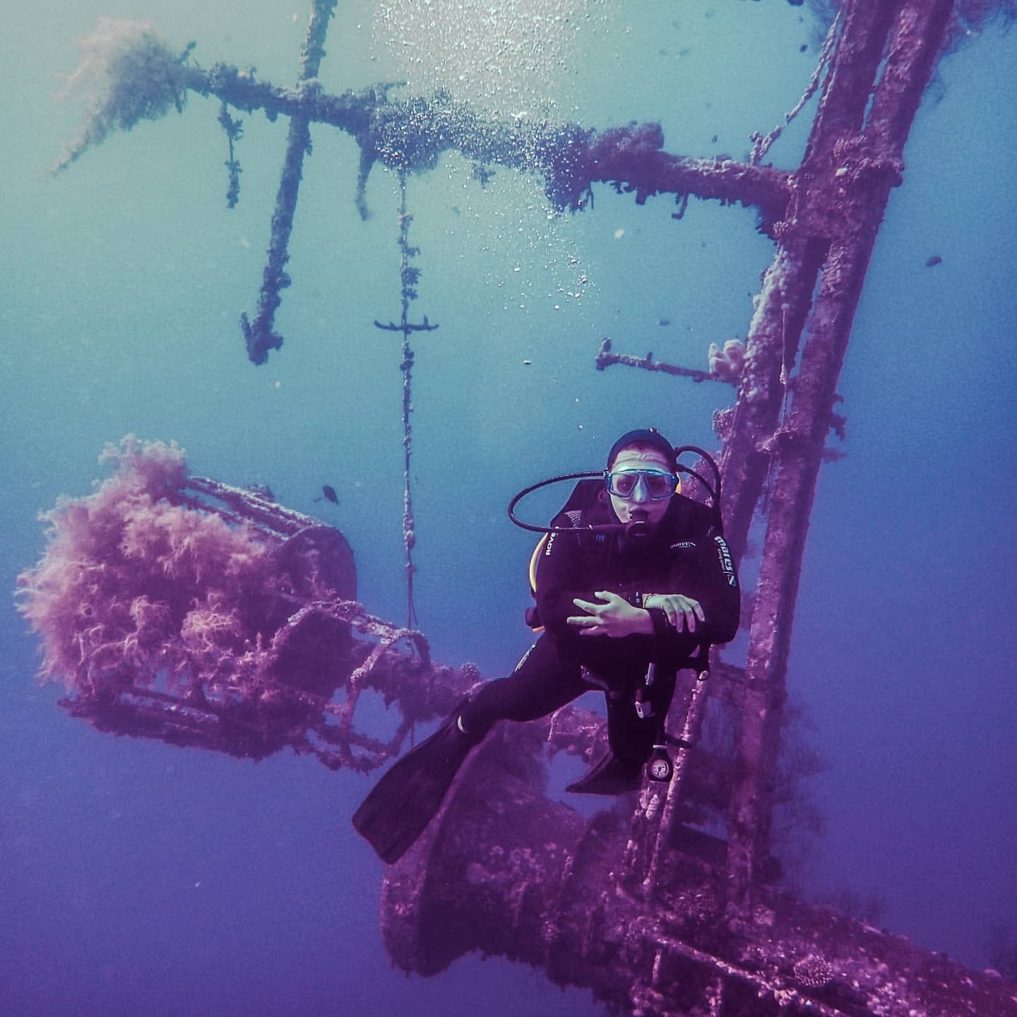 Scuba diving Jordan Aqaba