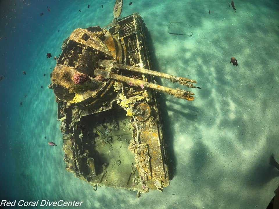 Red Sea dive sites Aqaba Jordan