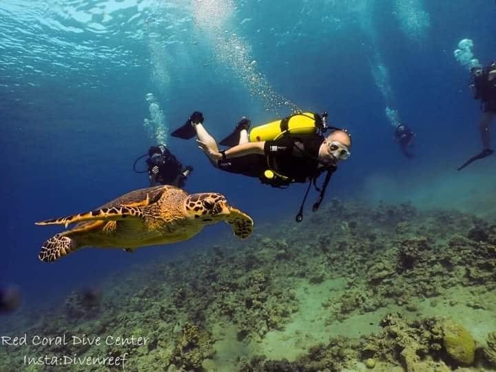 Scuba dive center Aqaba Jordan