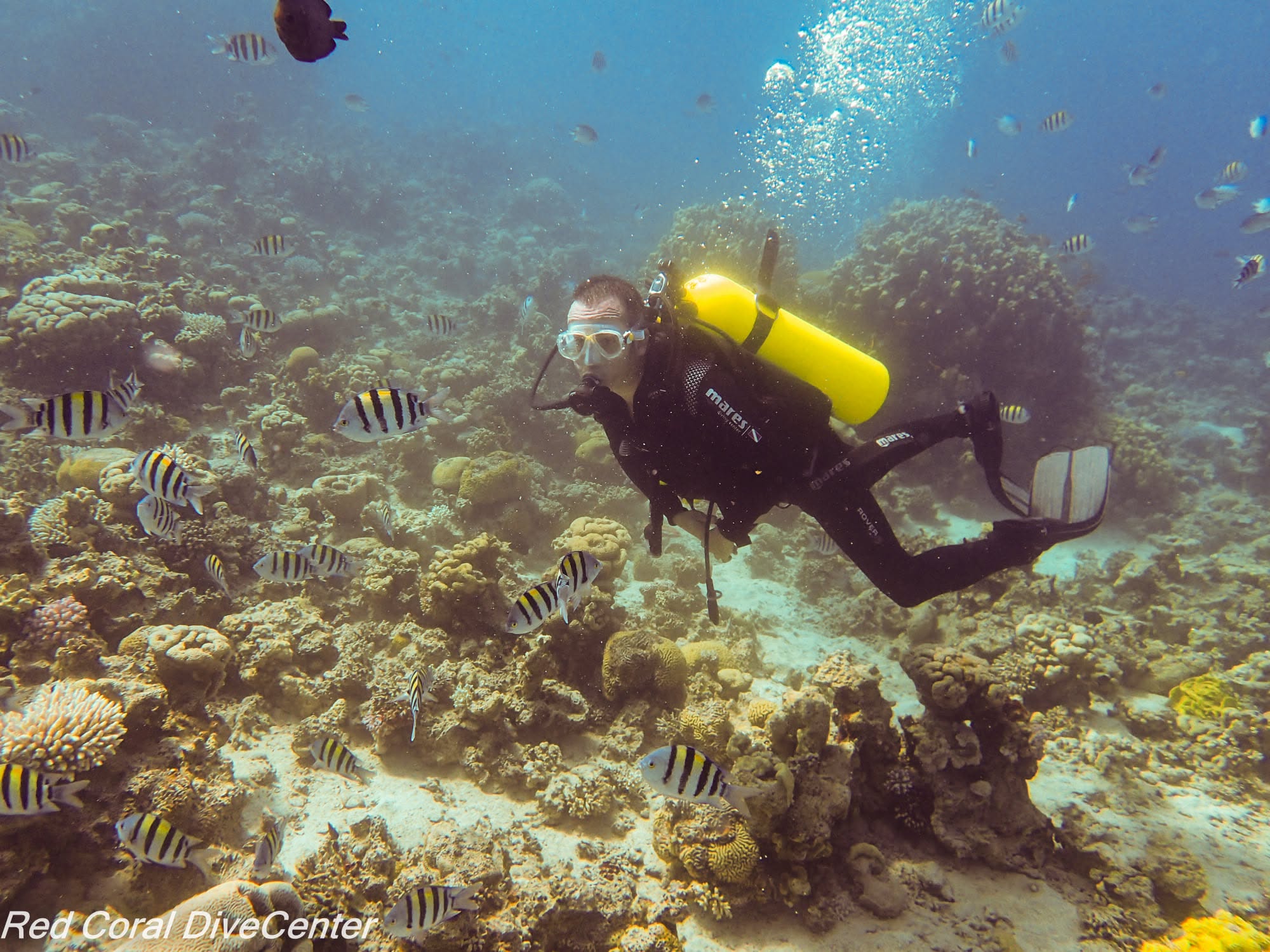 South Beach snorkeling and diving Aqaba
